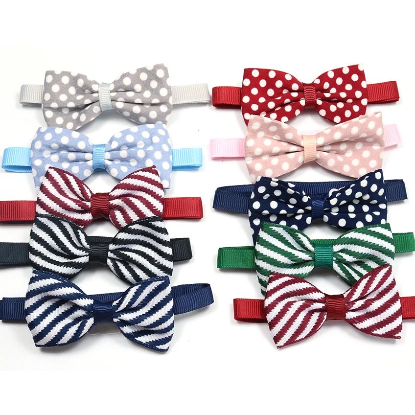 Collier pour chien