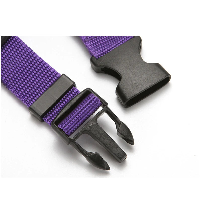Ceinture de sécurité pour chien en voiture
