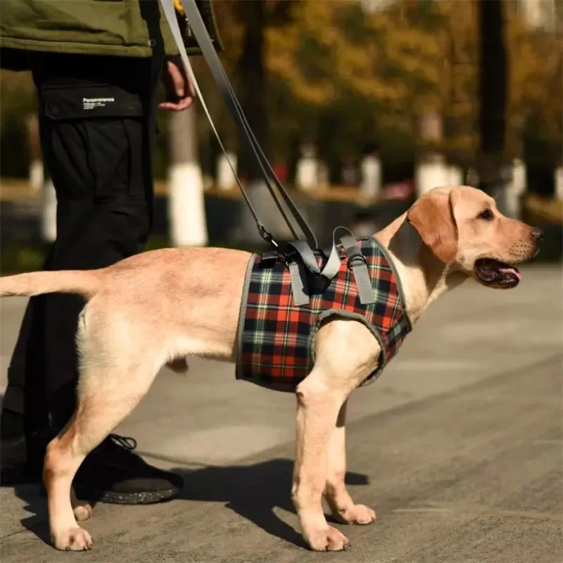 Harnais de soutien pour chien, réglable et portable, pour la rééducation des pattes arrière et avant, idéal pour les chiens faibles, blessés, âgés ou handicapés, et pour la promenade