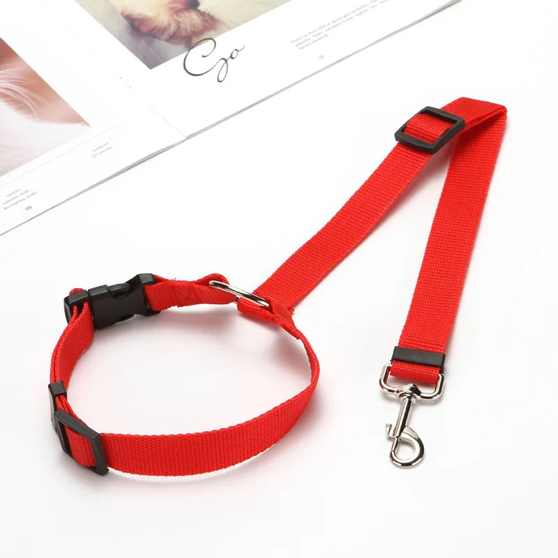 Ceinture de sécurité pour chien en voiture