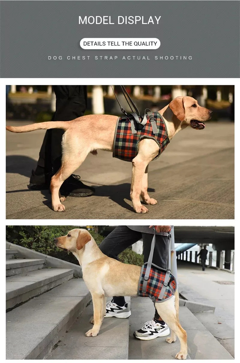 Harnais de soutien pour chien, réglable et portable, pour la rééducation des pattes arrière et avant, idéal pour les chiens faibles, blessés, âgés ou handicapés, et pour la promenade