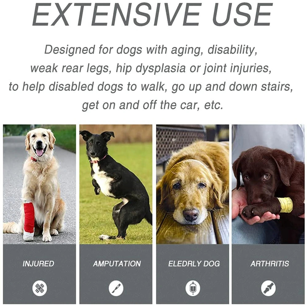 Harnais de soutien pour chien, réglable et portable, pour la rééducation des pattes arrière et avant, idéal pour les chiens faibles, blessés, âgés ou handicapés, et pour la promenade