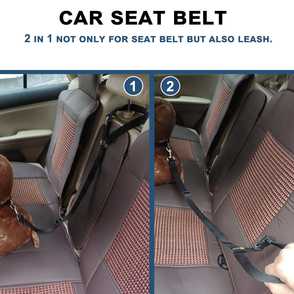 Ceinture de sécurité pour chien en voiture