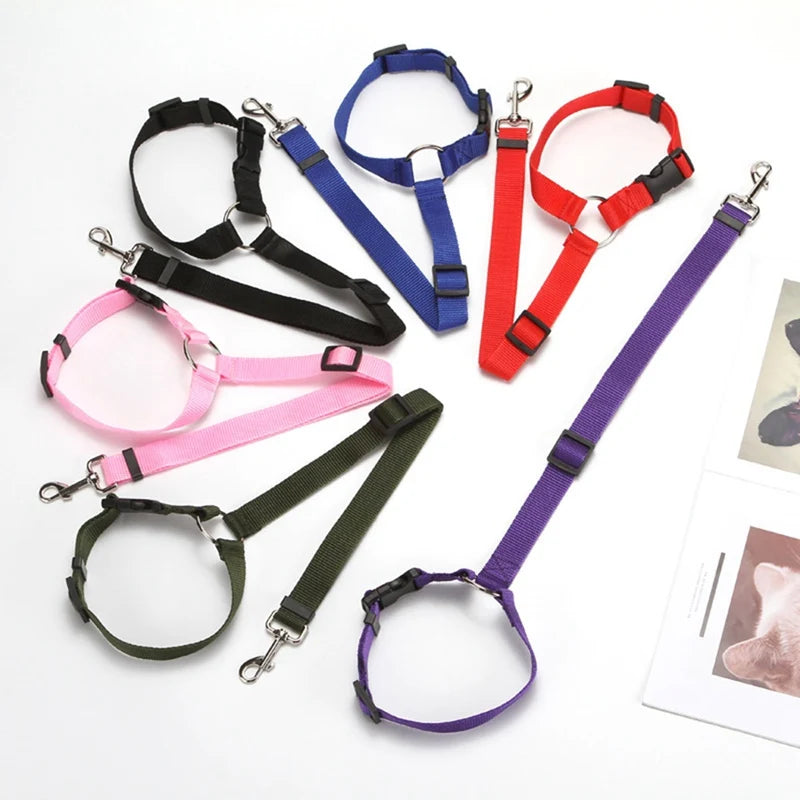 Ceinture de sécurité pour chien en voiture