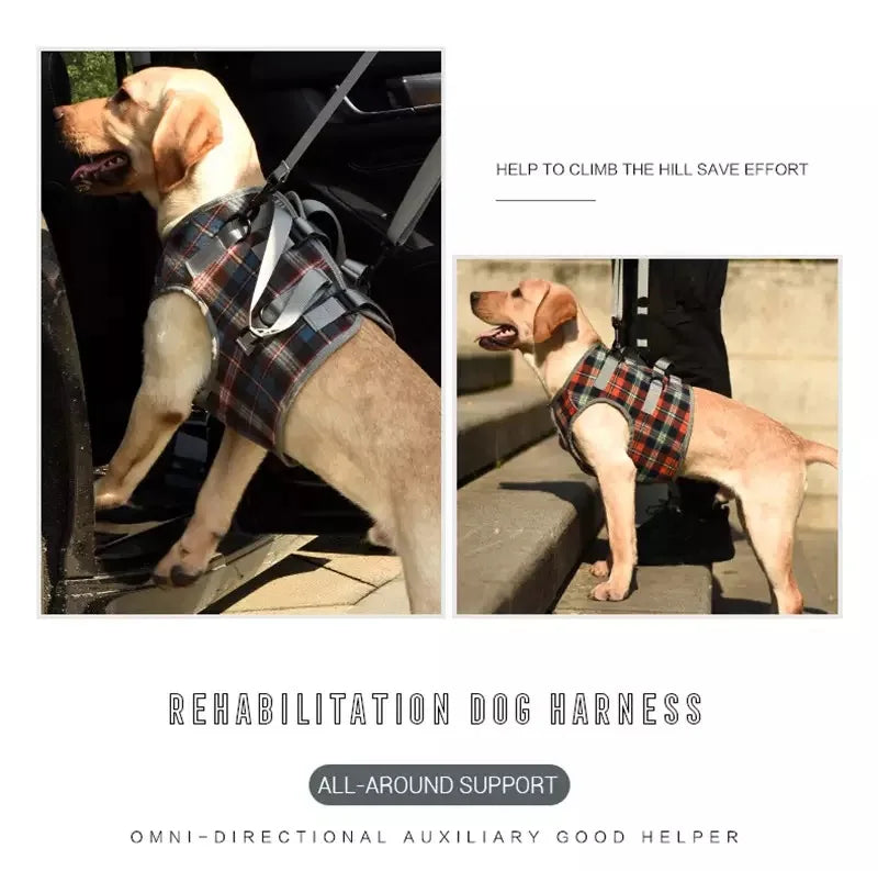 Harnais de soutien pour chien, réglable et portable, pour la rééducation des pattes arrière et avant, idéal pour les chiens faibles, blessés, âgés ou handicapés, et pour la promenade