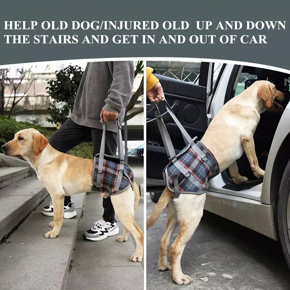 Harnais de soutien pour chien, réglable et portable, pour la rééducation des pattes arrière et avant, idéal pour les chiens faibles, blessés, âgés ou handicapés, et pour la promenade