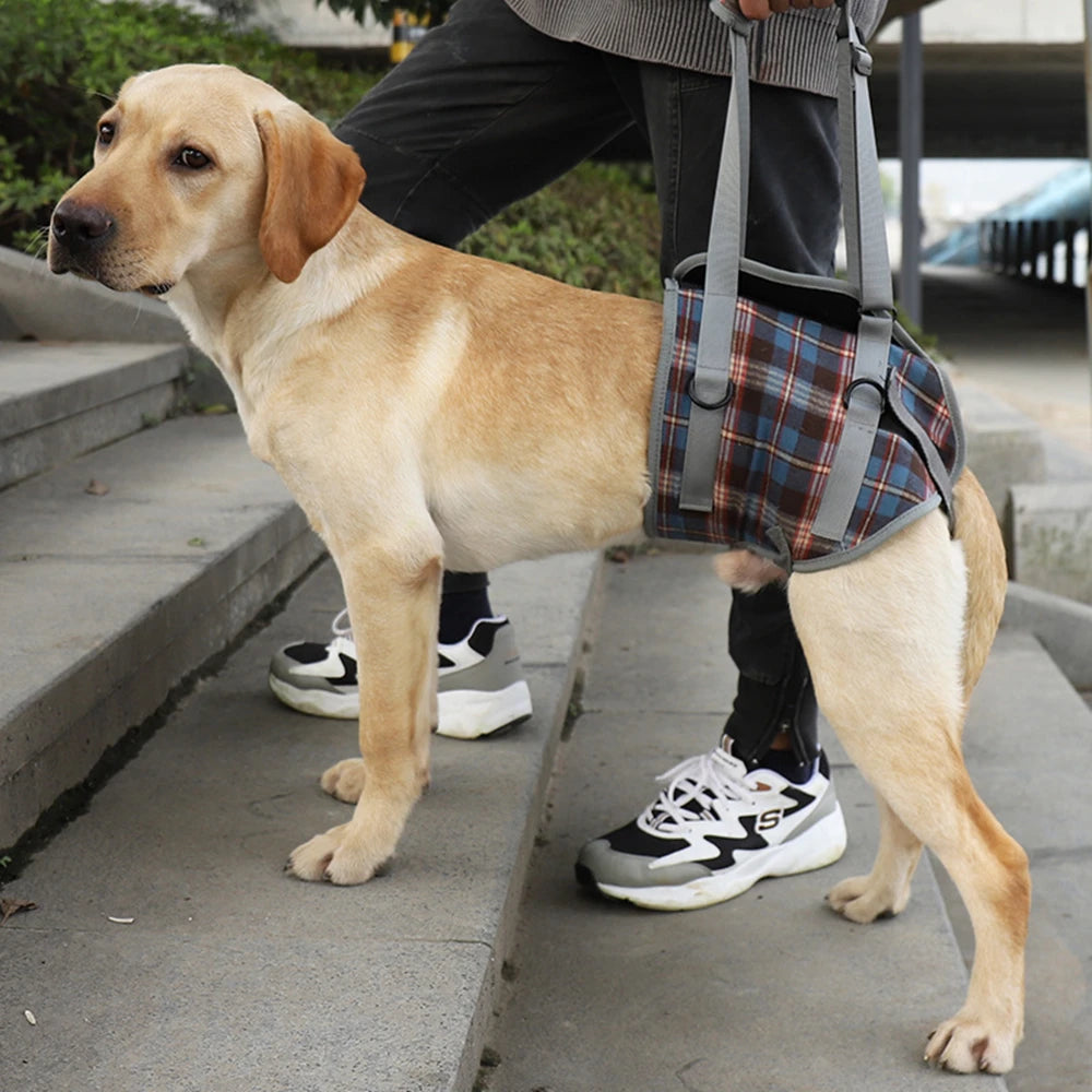 Harnais de soutien pour chien, réglable et portable, pour la rééducation des pattes arrière et avant, idéal pour les chiens faibles, blessés, âgés ou handicapés, et pour la promenade
