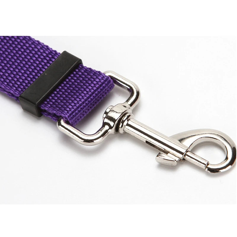 Ceinture de sécurité pour chien en voiture
