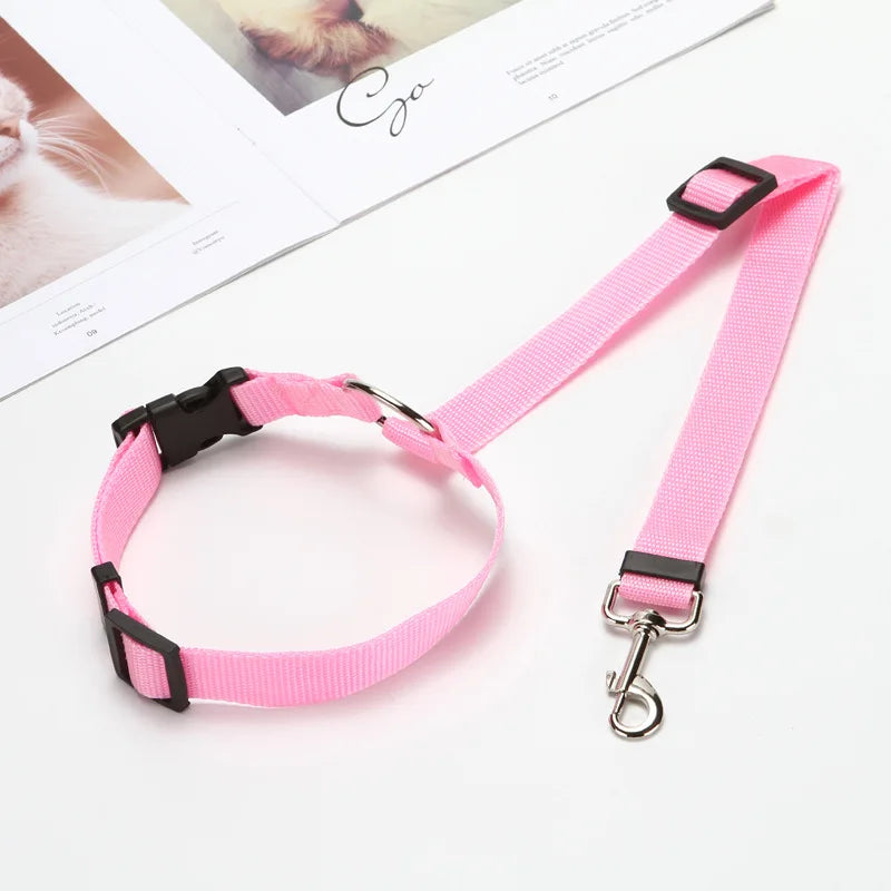 Ceinture de sécurité pour chien en voiture