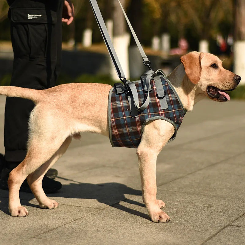 Harnais de soutien pour chien, réglable et portable, pour la rééducation des pattes arrière et avant, idéal pour les chiens faibles, blessés, âgés ou handicapés, et pour la promenade