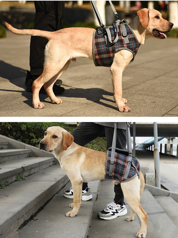 Harnais de soutien pour chien, réglable et portable, pour la rééducation des pattes arrière et avant, idéal pour les chiens faibles, blessés, âgés ou handicapés, et pour la promenade