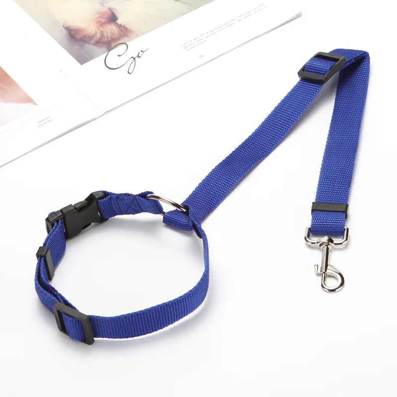 Ceinture de sécurité pour chien en voiture