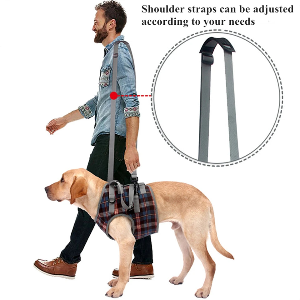 Harnais de soutien pour chien, réglable et portable, pour la rééducation des pattes arrière et avant, idéal pour les chiens faibles, blessés, âgés ou handicapés, et pour la promenade