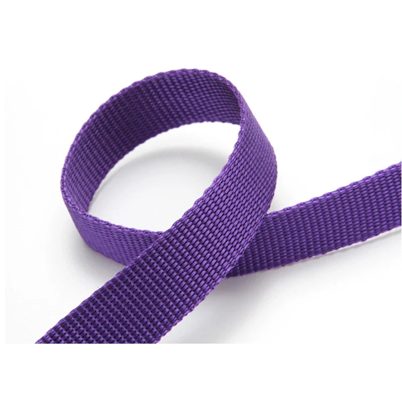 Ceinture de sécurité pour chien en voiture