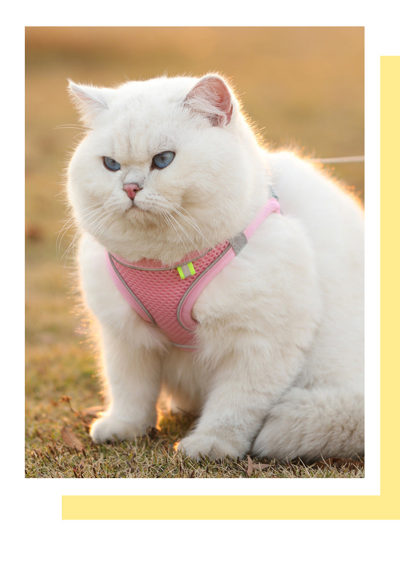 Harnais pour chat et chien, gilet, cordelette de poitrine, ensemble réfléchissant, respirant et réglable