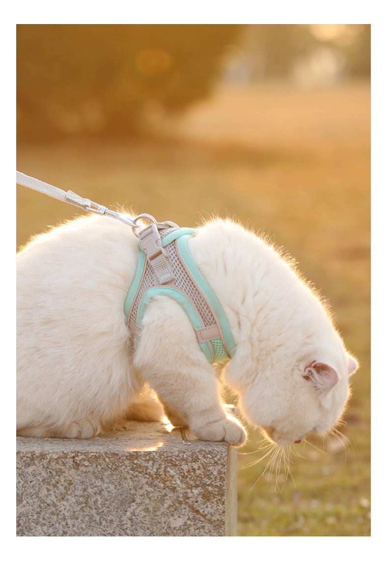 Harnais pour chat et chien, gilet, cordelette de poitrine, ensemble réfléchissant, respirant et réglable