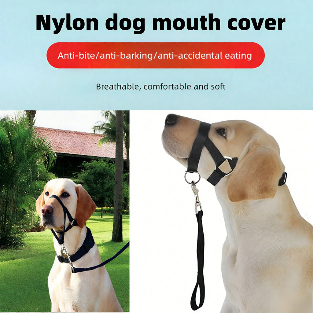 Collier pour chien, muselière