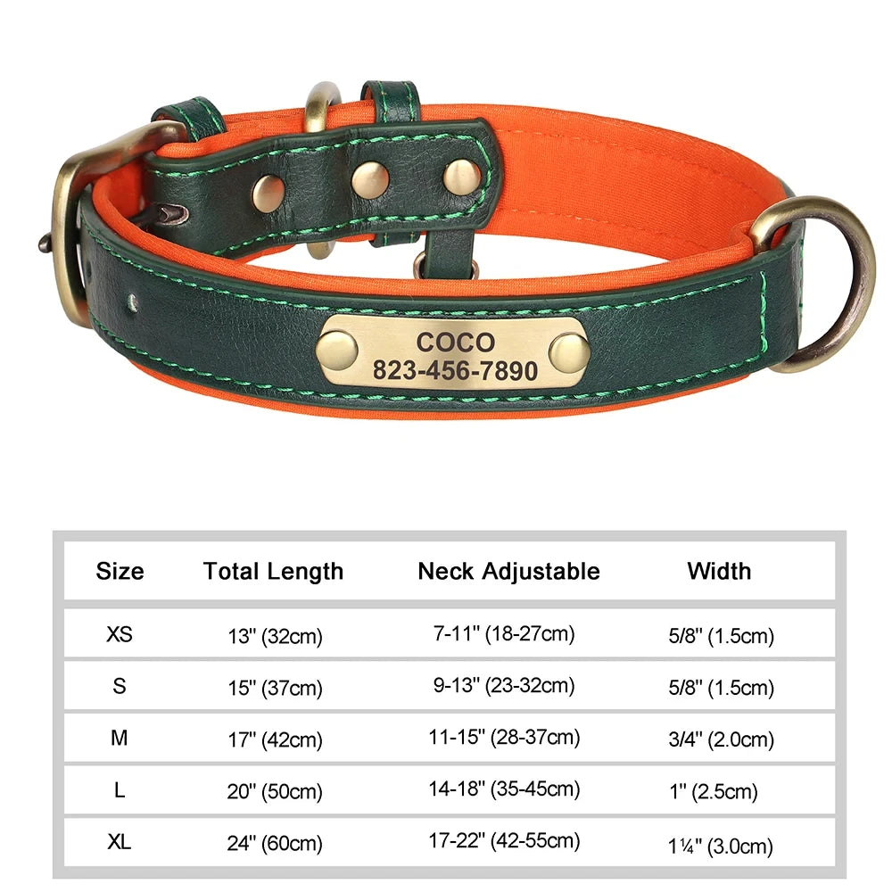 Collier pour chien