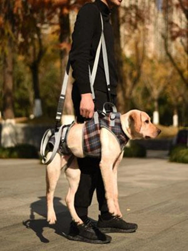 Harnais de soutien pour chien, réglable et portable, pour la rééducation des pattes arrière et avant, idéal pour les chiens faibles, blessés, âgés ou handicapés, et pour la promenade