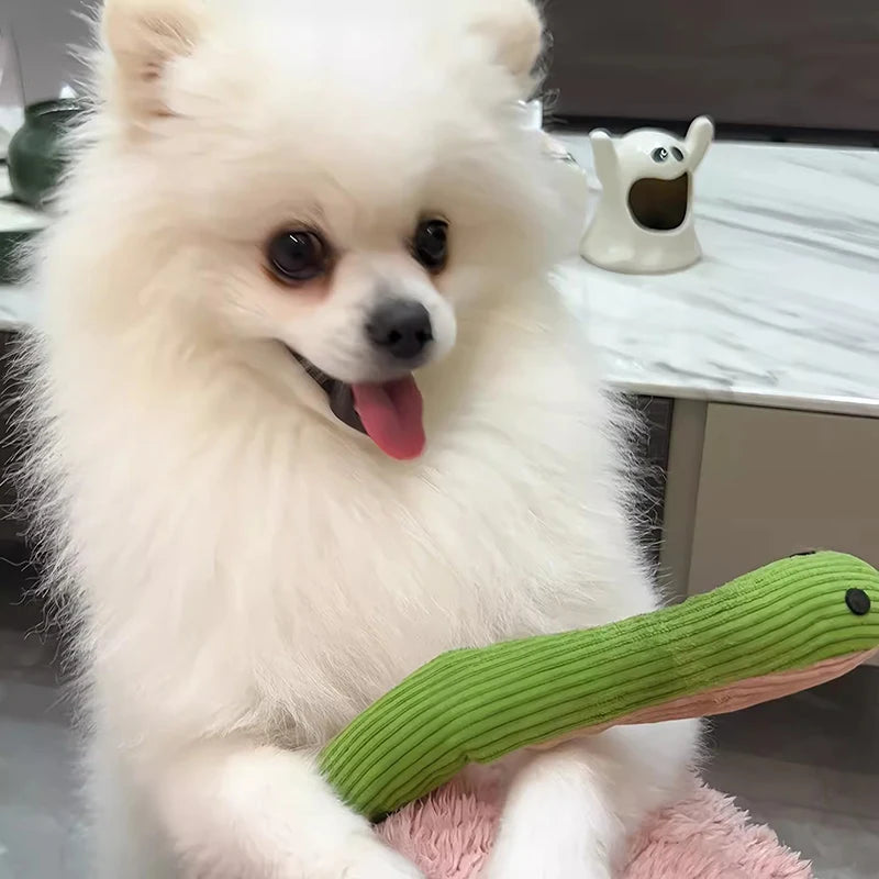 Dog Toy Snake Interactive Crinkle Sound Toy Kitten  Kick Toy Interactive Pet Toy for Indoor Cats 16.5 Inches Pet Supplies