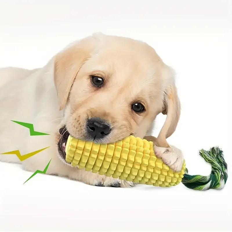 Jouet pour chien
