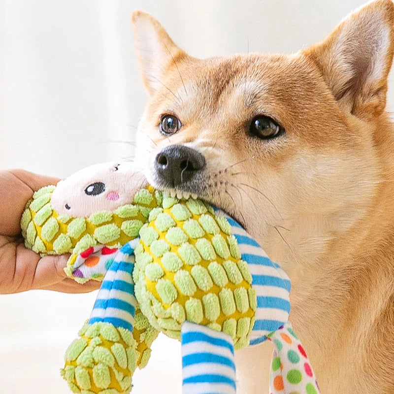 Peluche pour animaux de compagnie