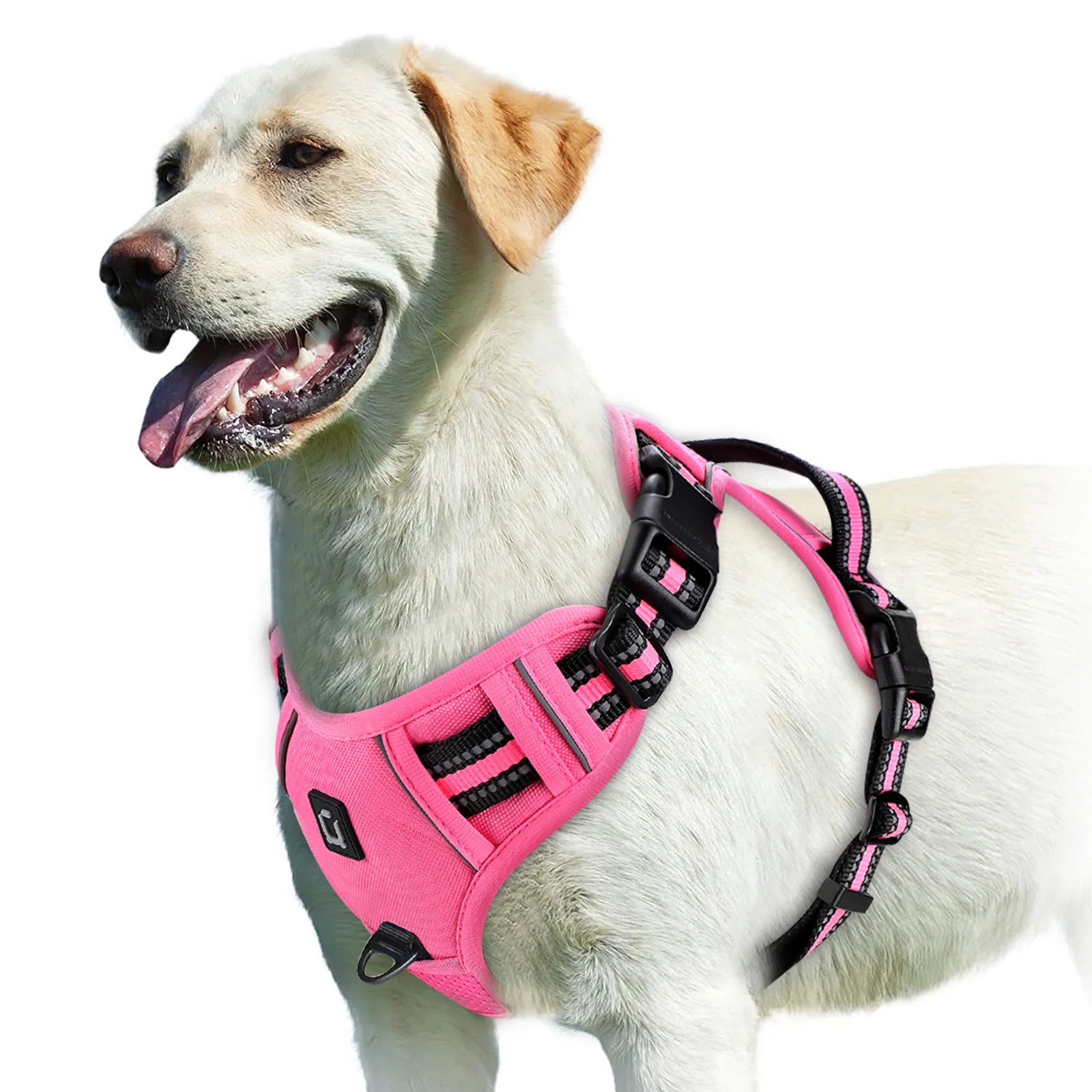 Harnais anti-traction pour chien, gilet rembourré doux et ajustable avec poignée de contrôle facile