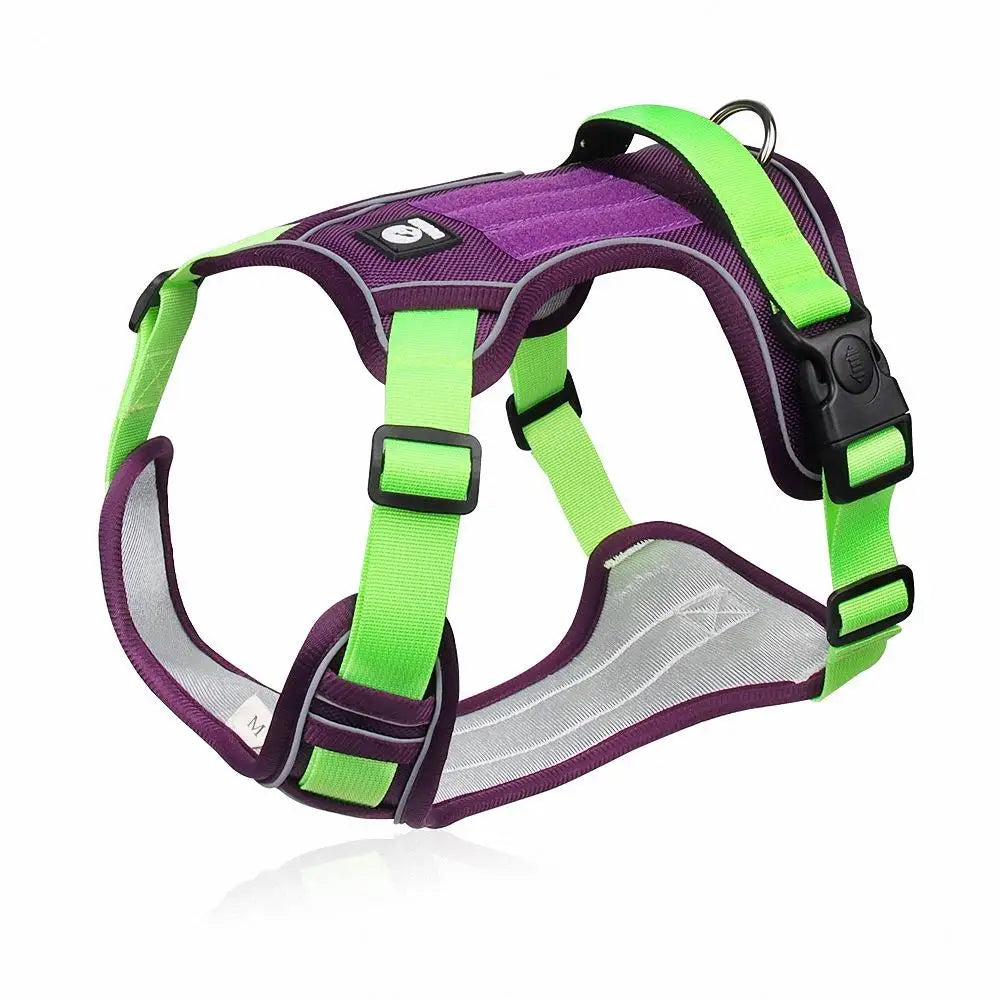 Harnais pour chien