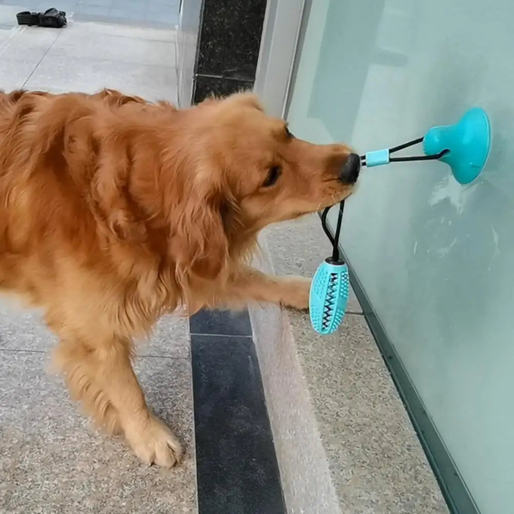 Jouet pour chien