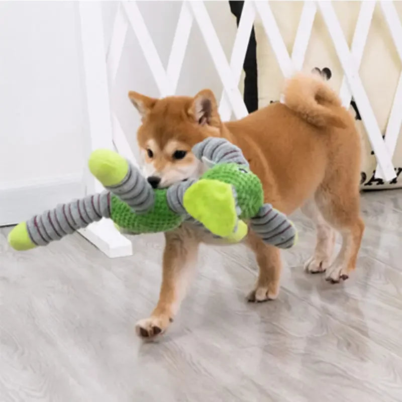Jouet pour chien