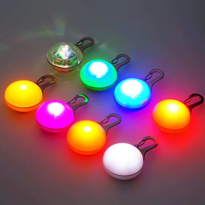 Collier lumineux LED pour chien et chat