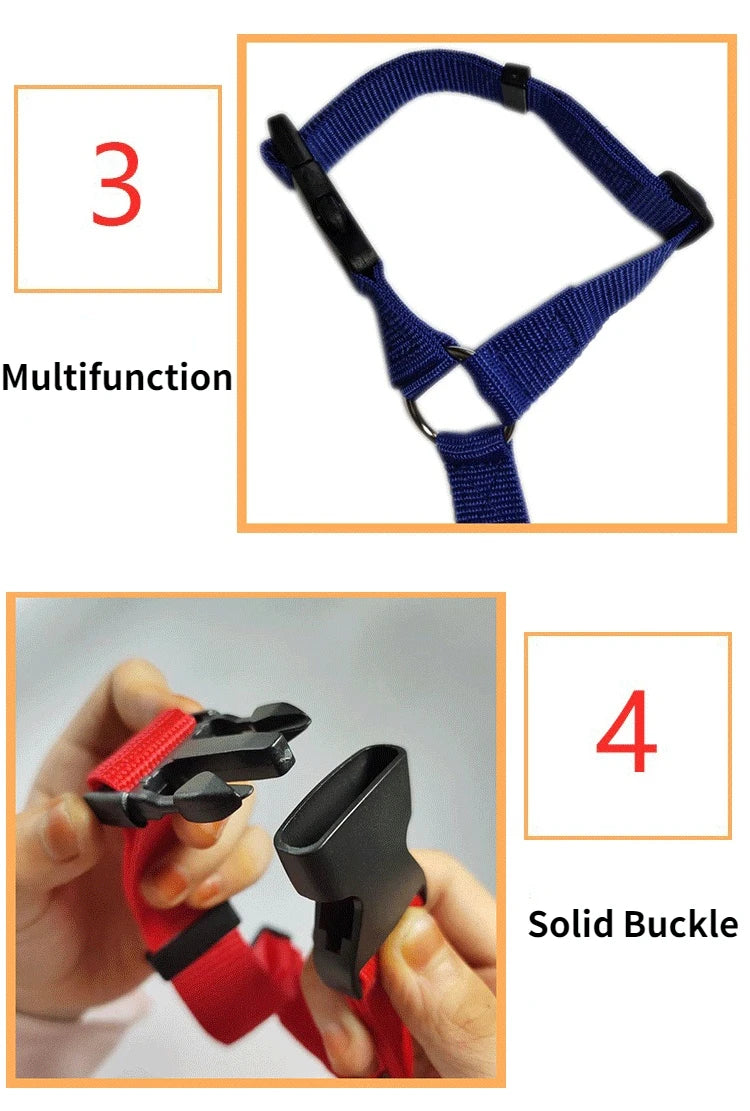 Ceinture de sécurité pour chien en voiture