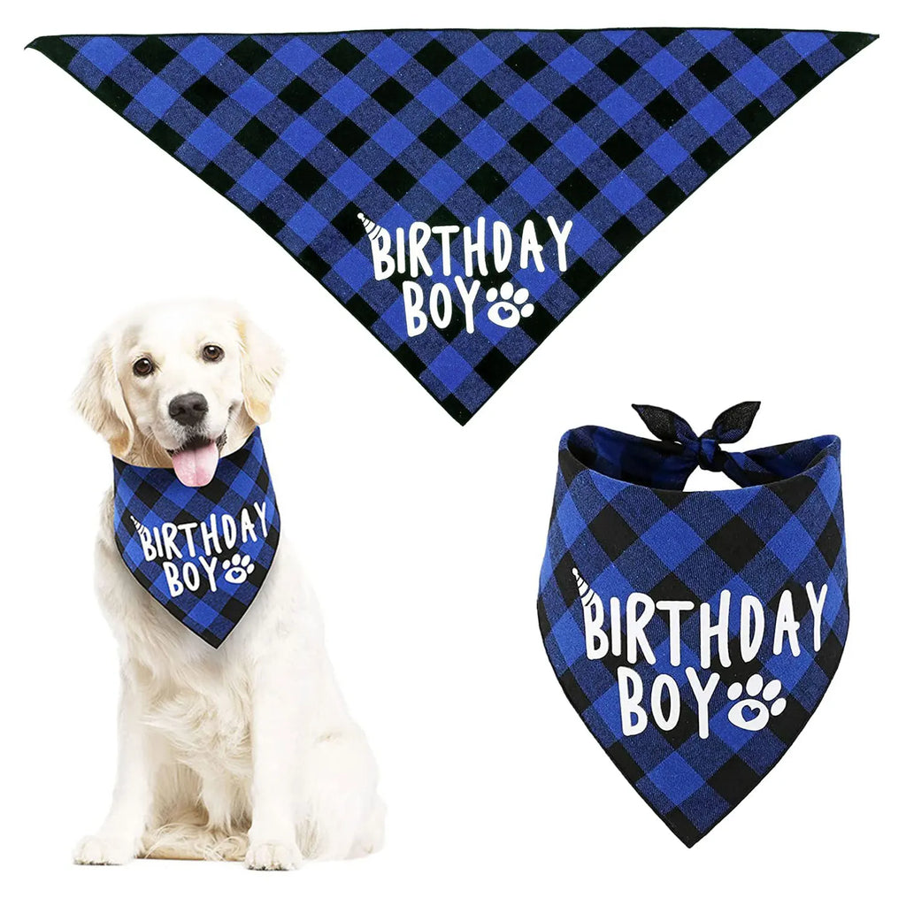 Ensemble de 4 articles pour fête d'anniversaire de chien : bandana « Birthday Boy », chapeau d'anniversaire avec chiffres pour chiens