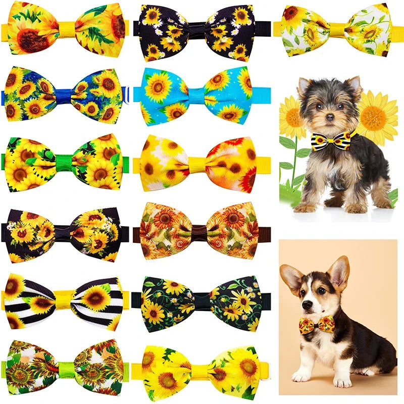 Collier pour chien