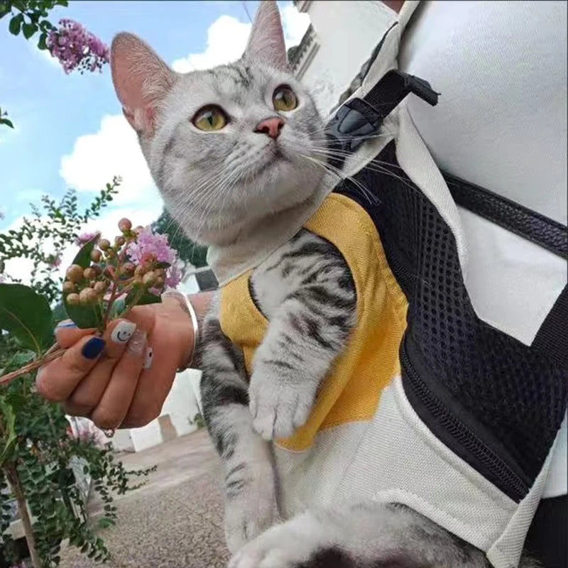 Porte chat