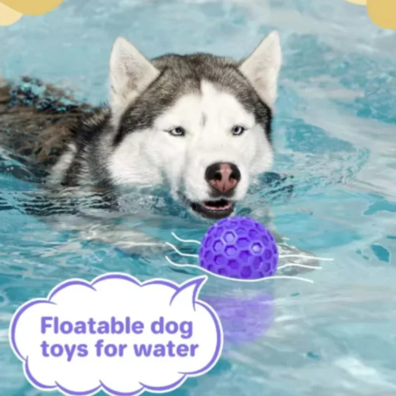 Balle interactive indestructible en caoutchouc à mâcher pour chiens de petite
