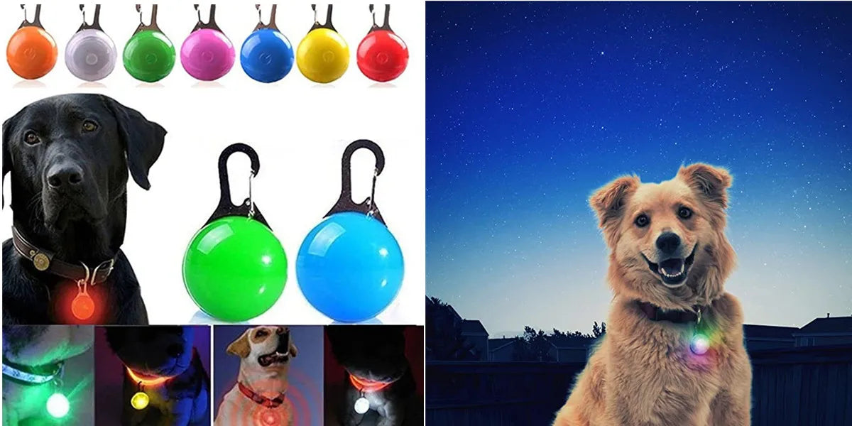 Collier lumineux LED étanche en PVC