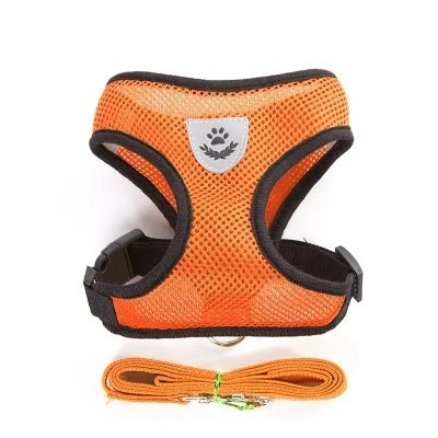 Harnais pour chat et chien avec laisse