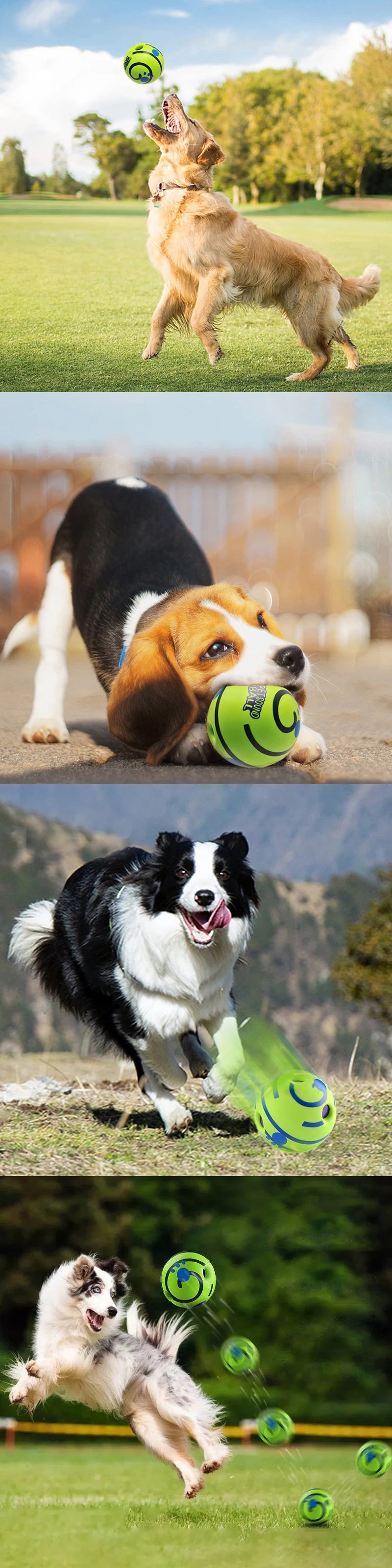 Jouet pour chien