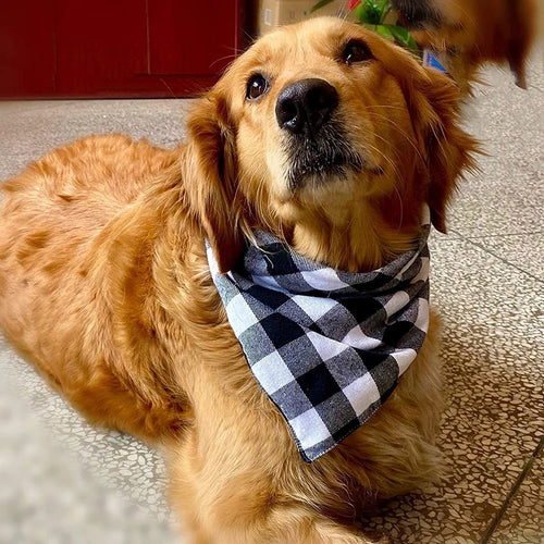 Bandana pour chien