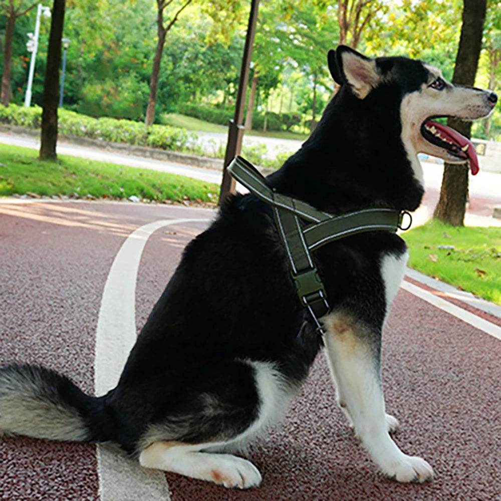 Harnais tactique anti-traction pour chien - Nylon ajustable pour grands chiens