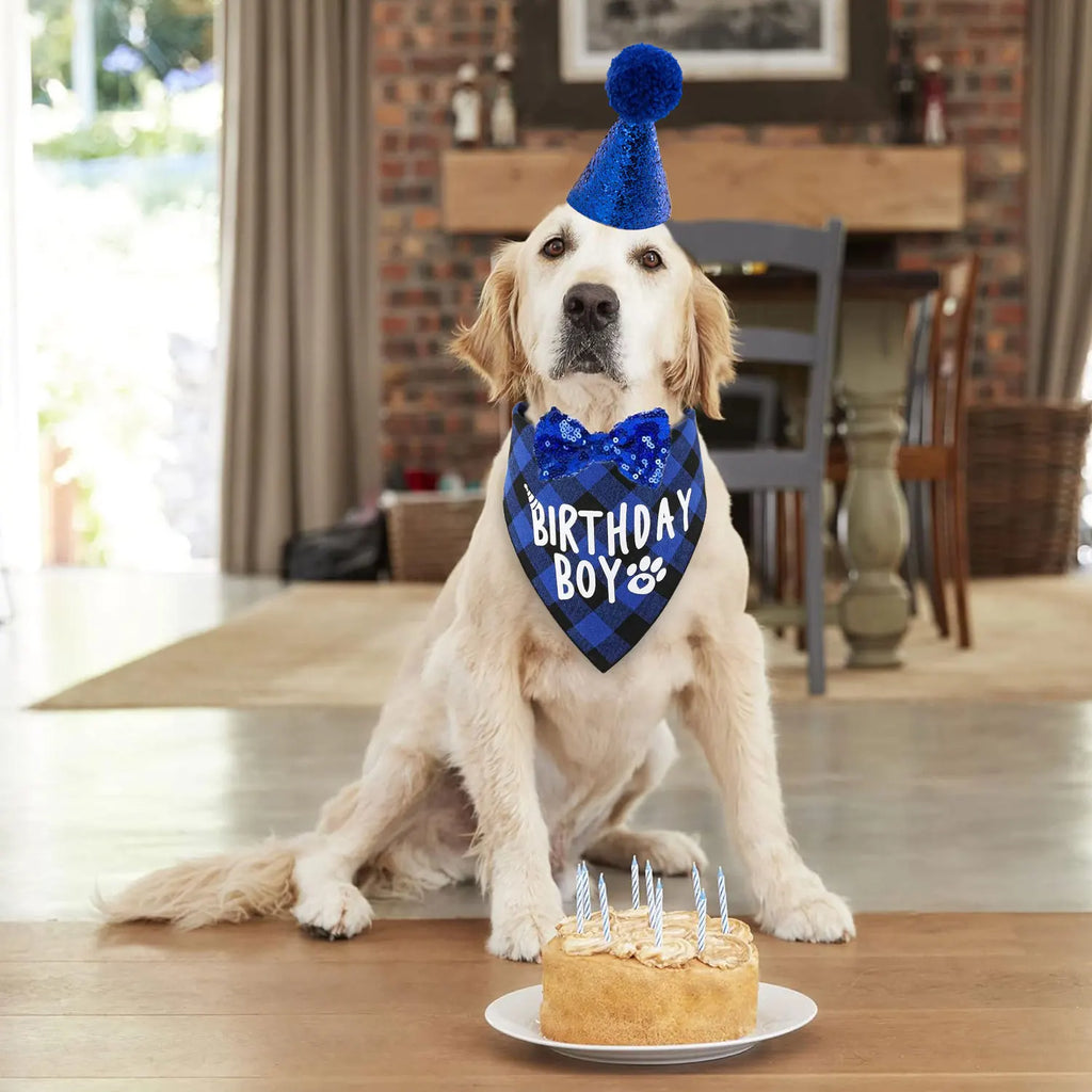 Ensemble de 4 articles pour fête d'anniversaire de chien : bandana « Birthday Boy », chapeau d'anniversaire avec chiffres pour chiens