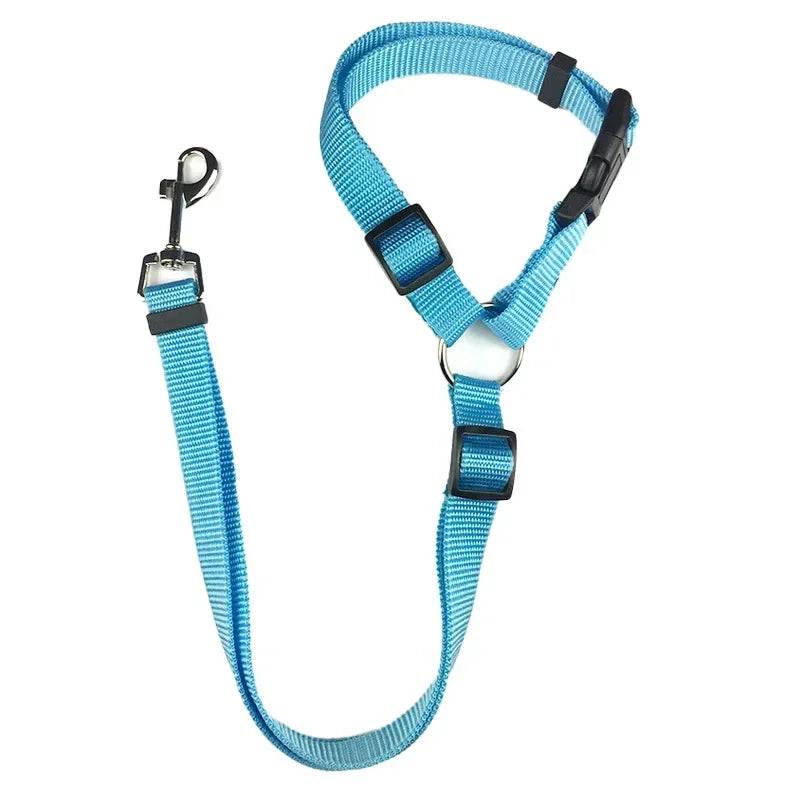 Ceinture de sécurité pour chien en voiture