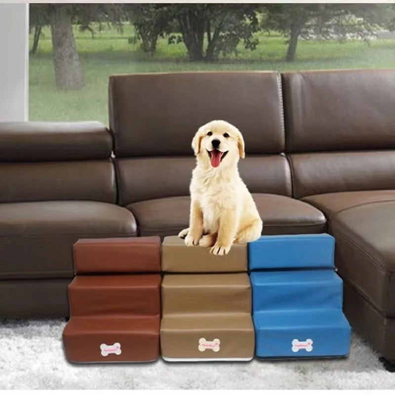 Escalier pour chien