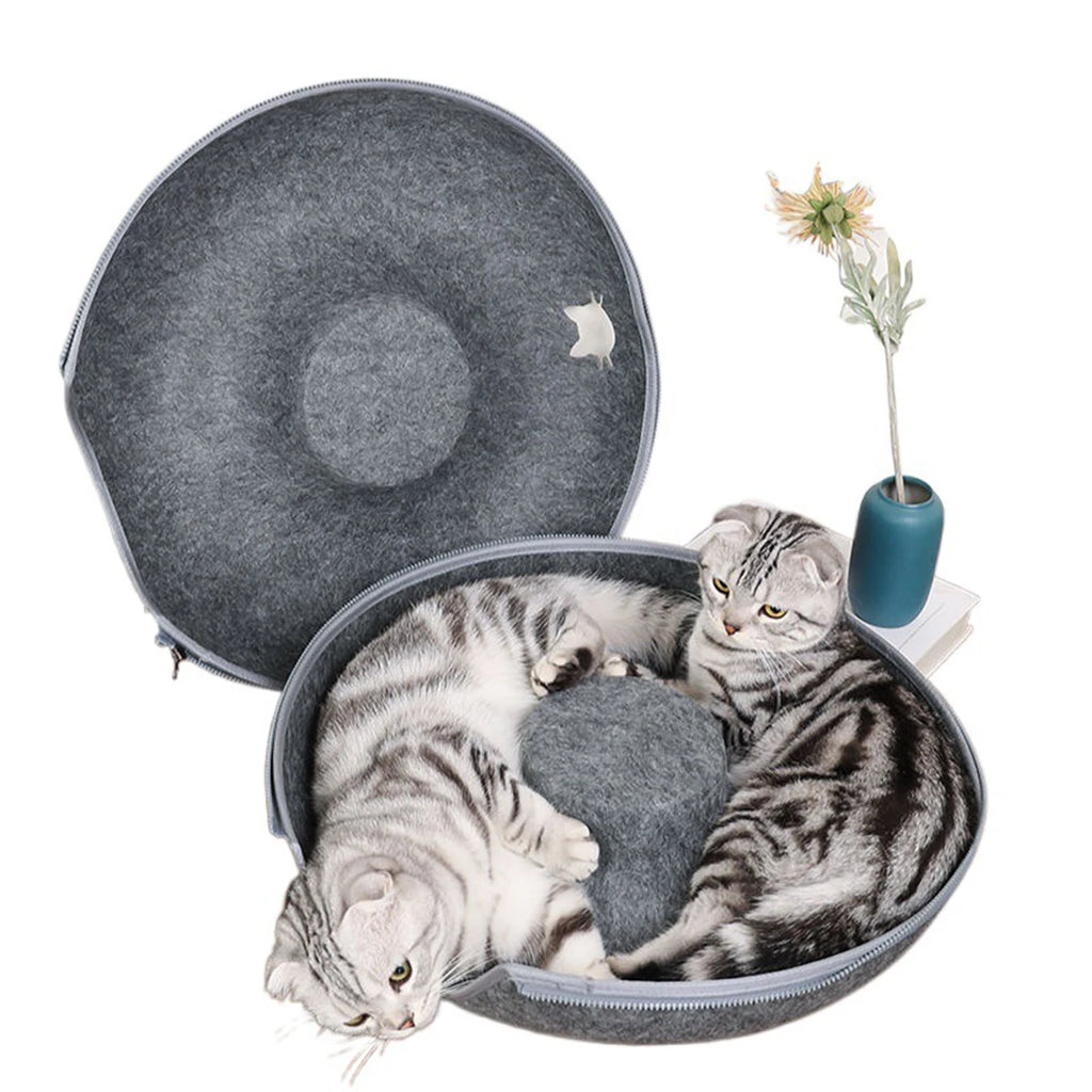 Tunnel interactif rond pour petits chats