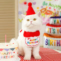 Décorations d'anniversaire pour animaux de compagnie