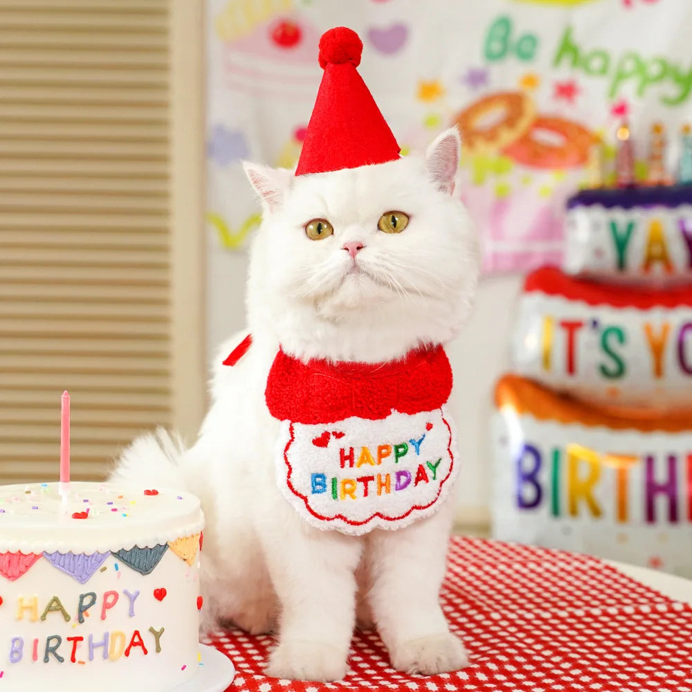 Décorations d'anniversaire pour animaux de compagnie