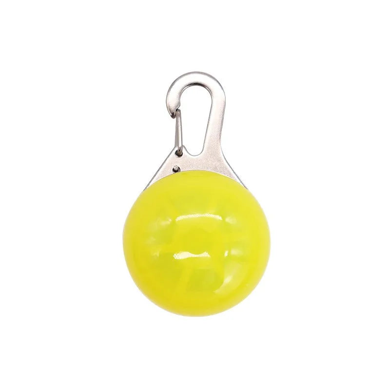Collier lumineux LED pour chien et chat