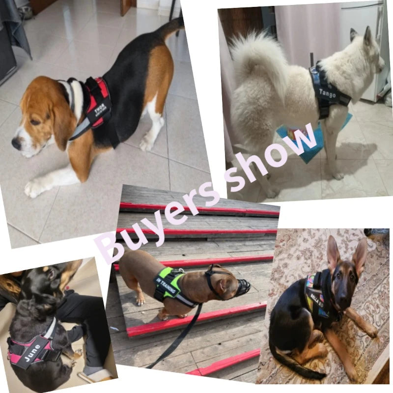 Harnais pour chien personnalisé, réfléchissant et réglable