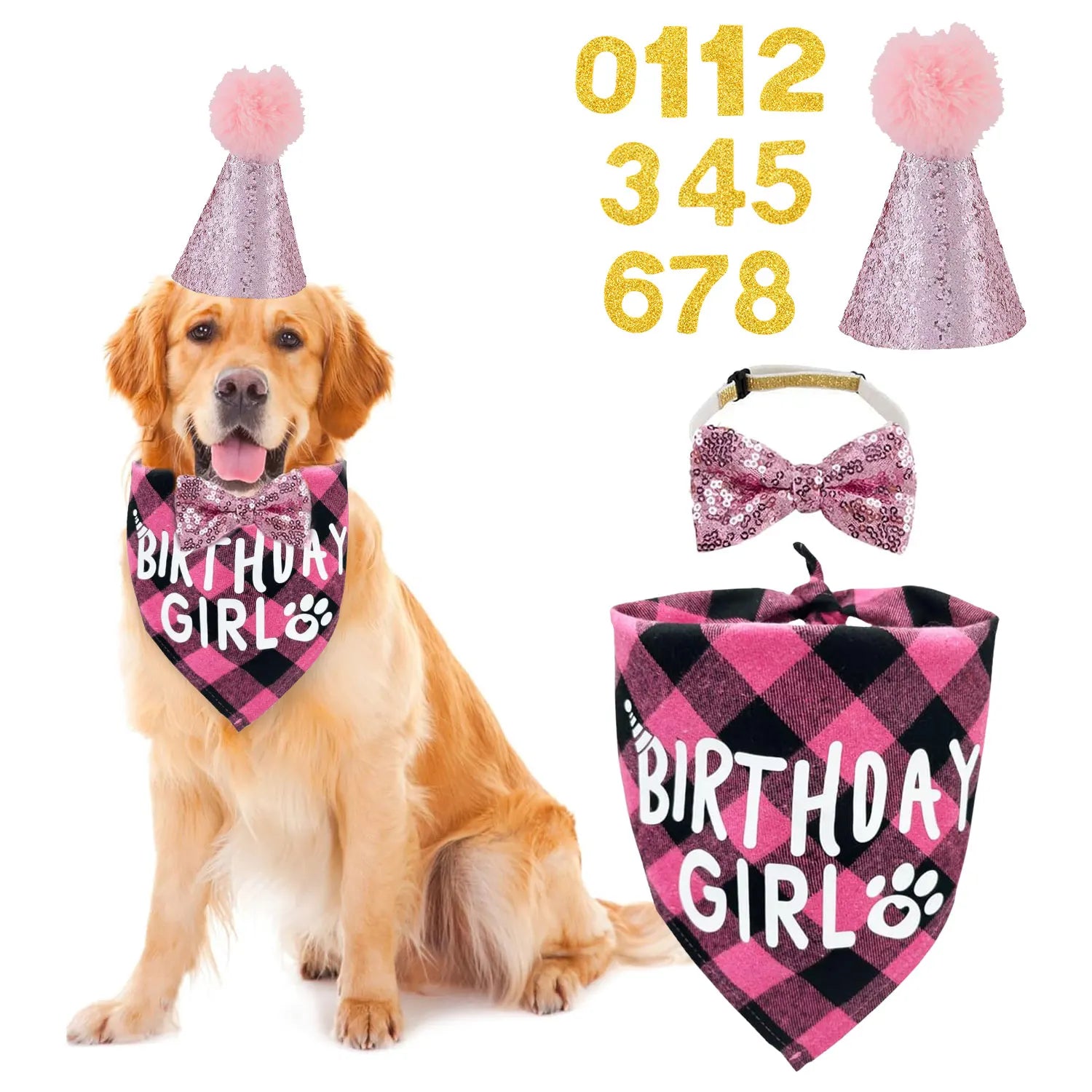 Ensemble de 4 articles pour fête d'anniversaire de chien : bandana « Birthday Boy », chapeau d'anniversaire avec chiffres pour chiens